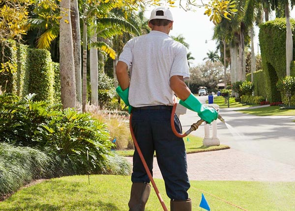 About Ephraim UT Pest Control Pros